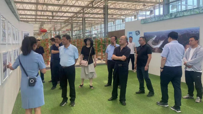 甘肃WM视讯集团赴靖远县考察洽谈